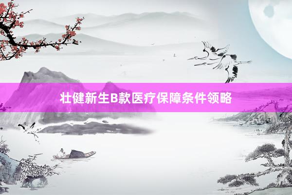 壮健新生B款医疗保障条件领略